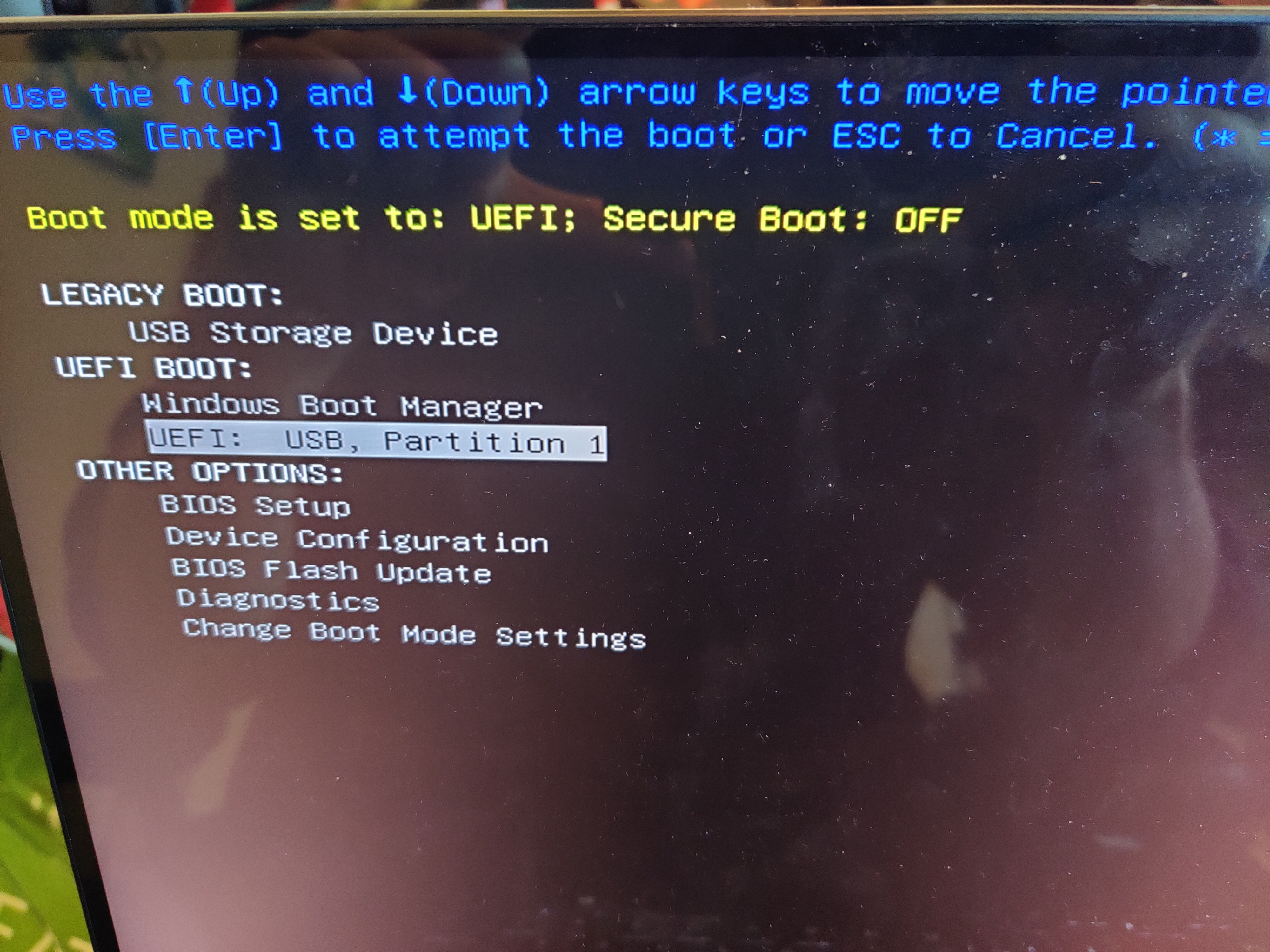Boot the system