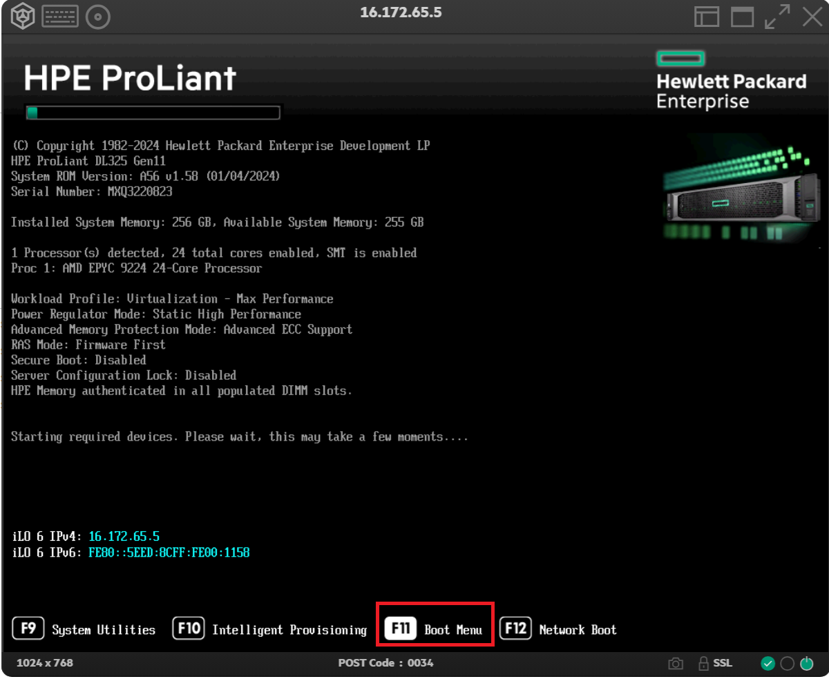 Manually choose the boot device